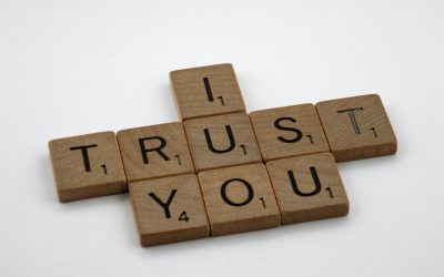 Innovative Ways to Build Trust in Business: Bridging the gap between Brand and Culture