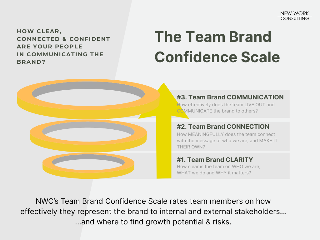 Team Brand Confidence Scale